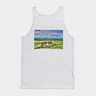 Dartmoor National Park Devon Tank Top